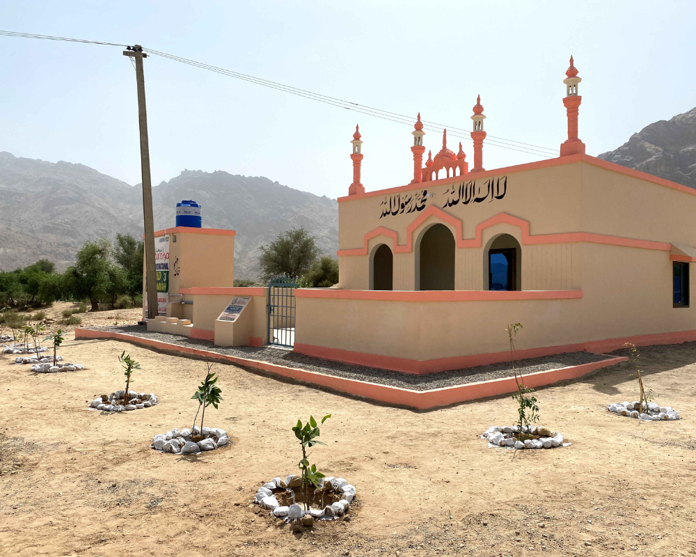 Terms and Conditions